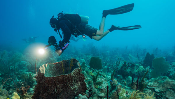 Fresh protection for territorial waters after a busy spring of ocean conferences